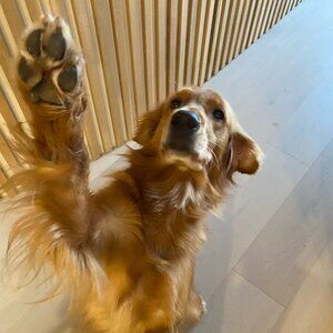 Meet your Posher, Megan